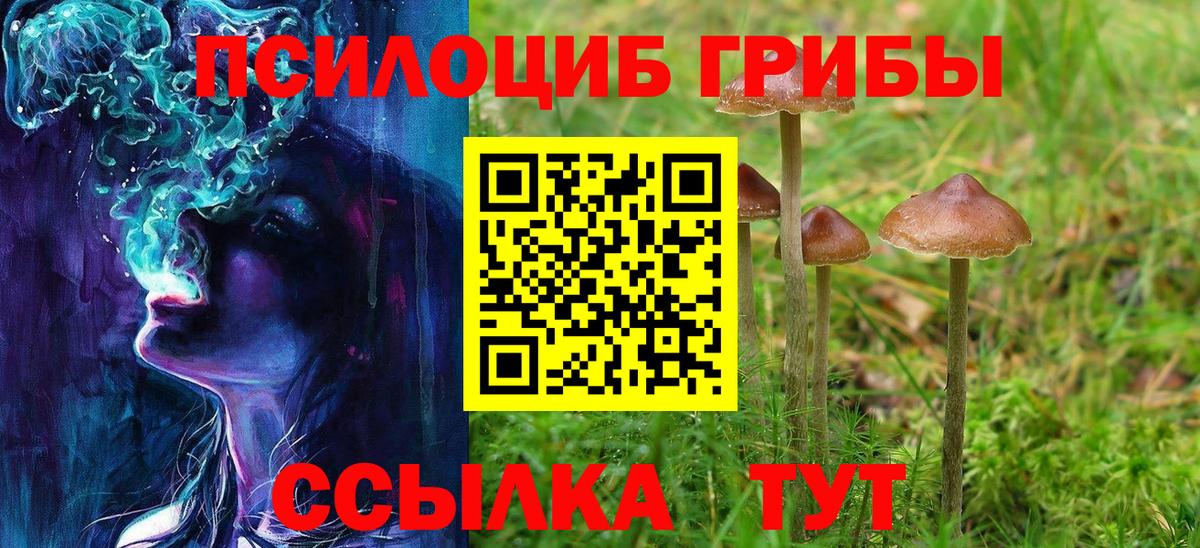 Псилоцибиновые грибы Cubensis Аксай